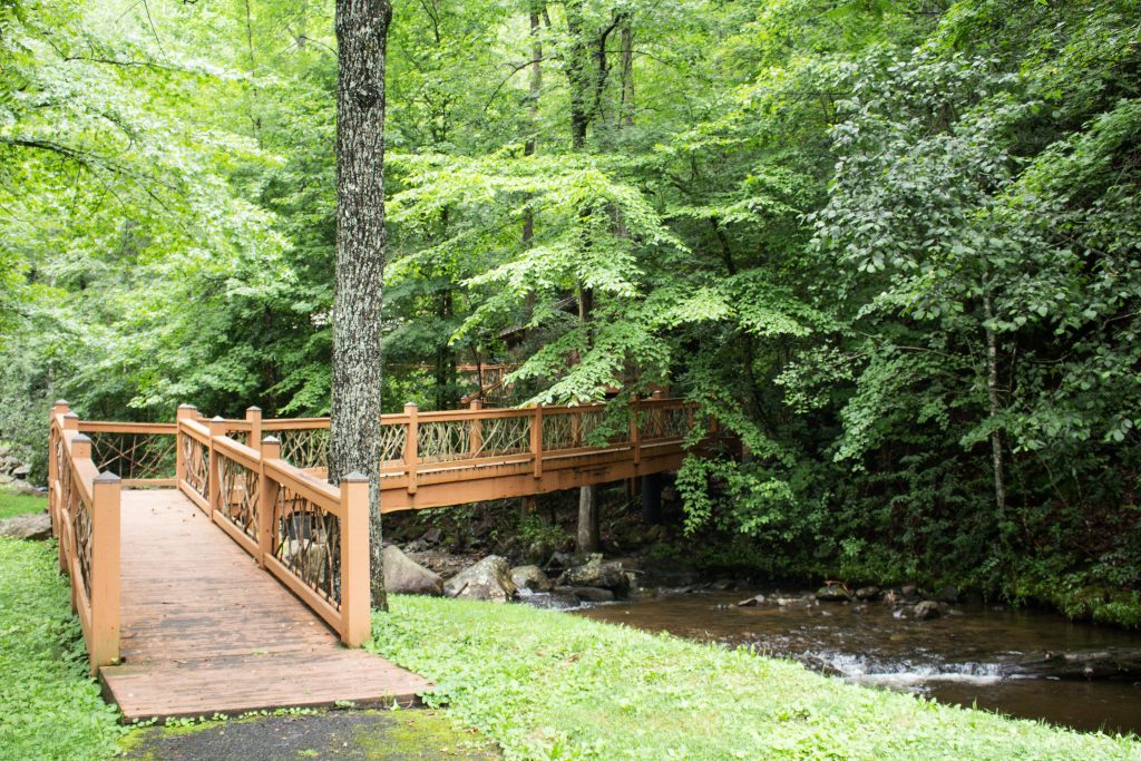 This image is by Norton Creek Resort.